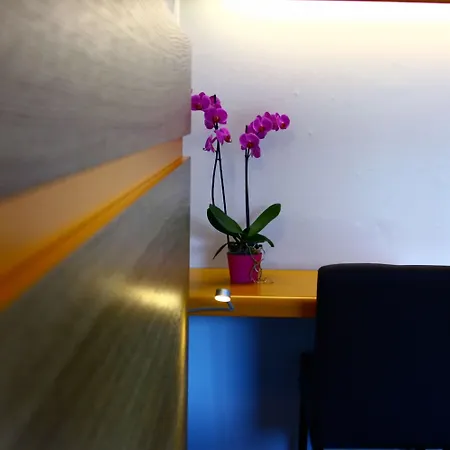 Bel Horizon Hotel 3*